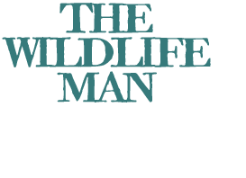 The Wildlife Man - Brand Design Sutherland Shire - CWD