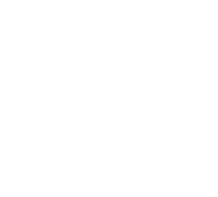 Stork Bicycles - Cronulla Web Design - Brand Design Sutherland Shire