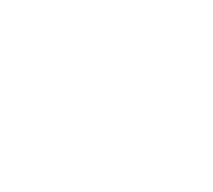 Dane Wheeler Speaking Logo Graphic Design